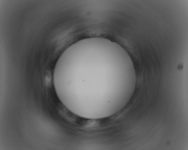 X0000091990335200710041135