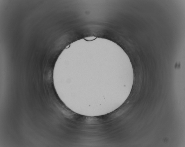 X0000091990336200710041135