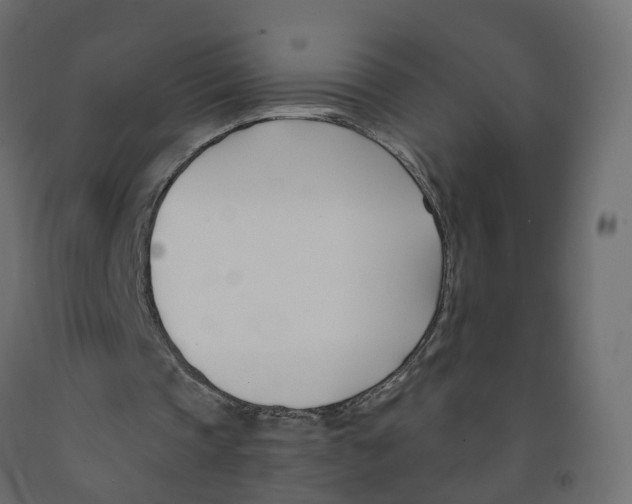 X0000091990337200710041134