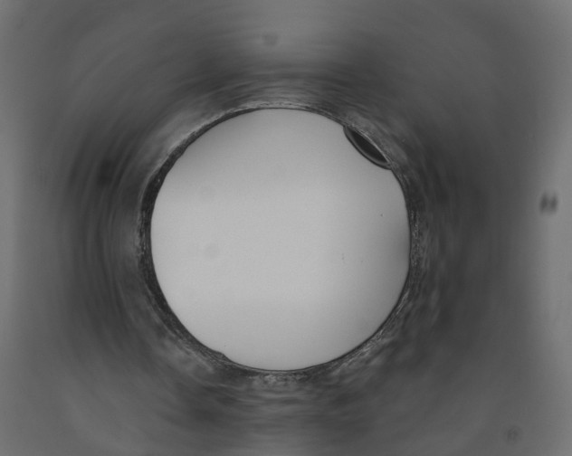 X0000091990338200710041134