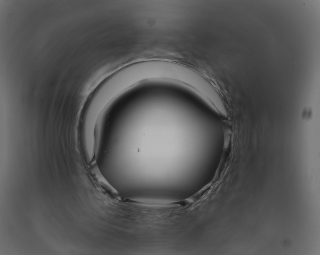 X0000091990340200710041134