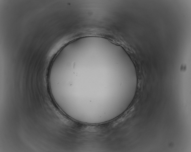 X0000091990341200710041134