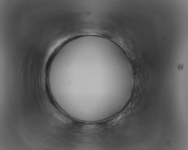 X0000091990342200710041134