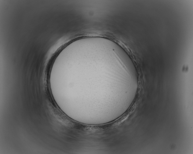 X0000091990343200710041134