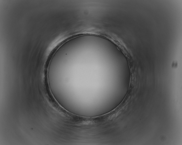 X0000091990344200710041134