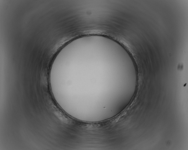 X0000091990345200710041134