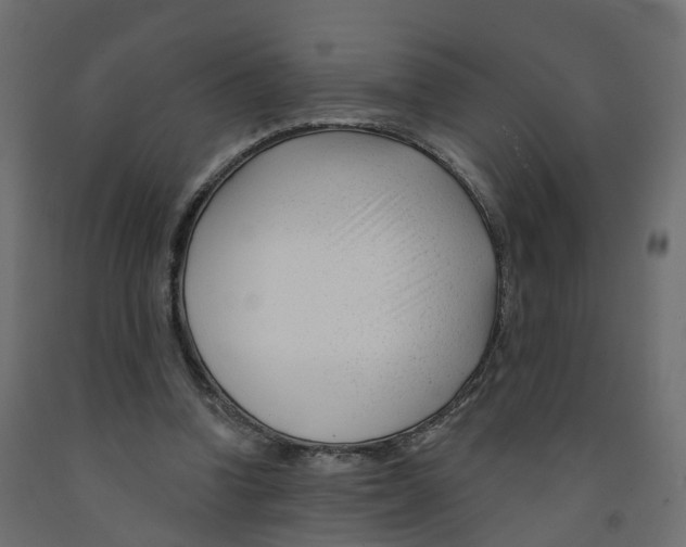 X0000091990346200710041134