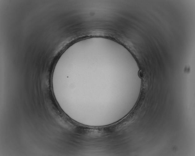 X0000091990347200710041134