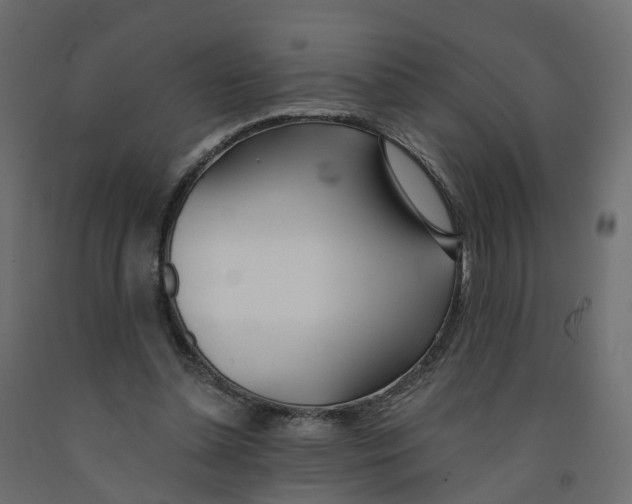 X0000091990348200710041134
