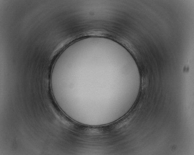 X0000091990349200710041134