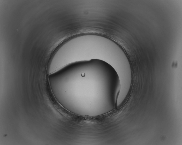 X0000091990352200710041134