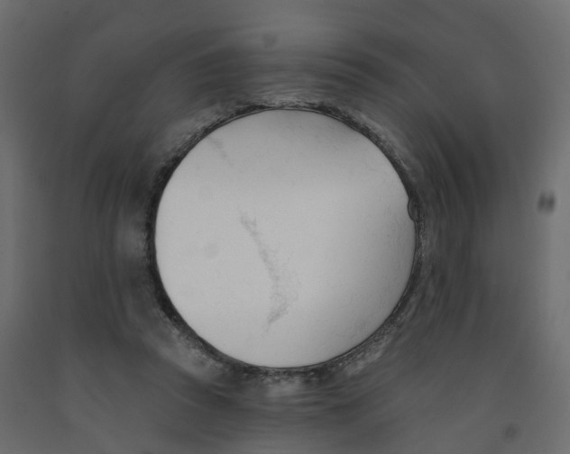 X0000091990353200710041134