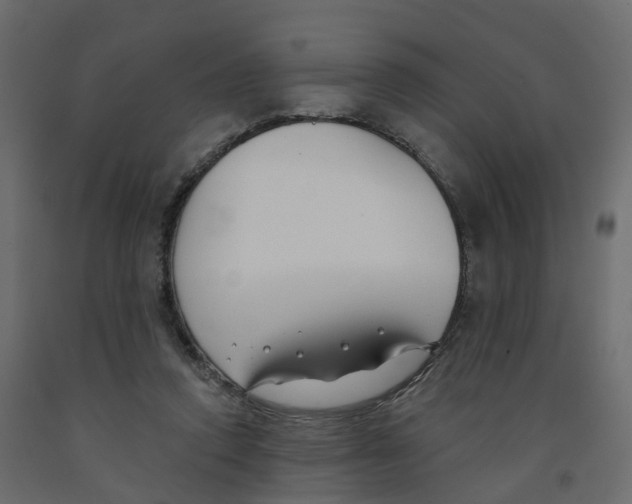 X0000091990354200710041134