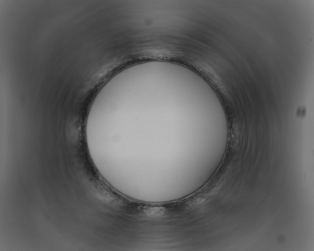 X0000091990355200710041134