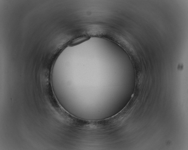 X0000091990356200710041134