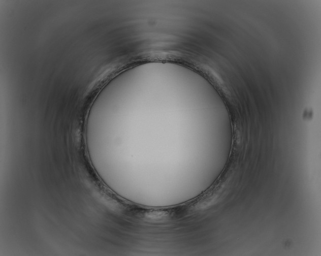 X0000091990357200710041134