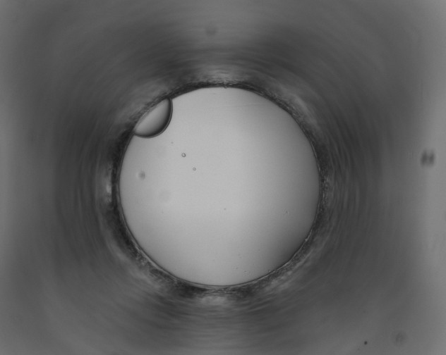 X0000091990358200710041134