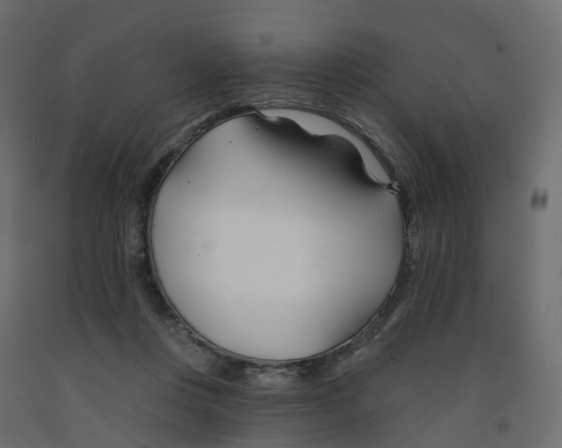 X0000091990359200710041134