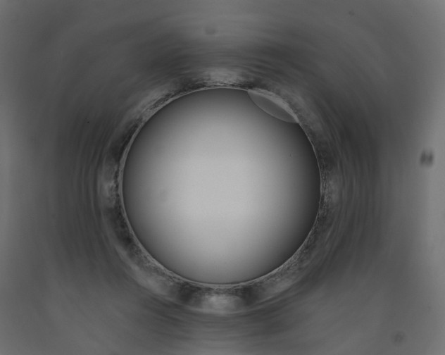 X0000091990360200710041134