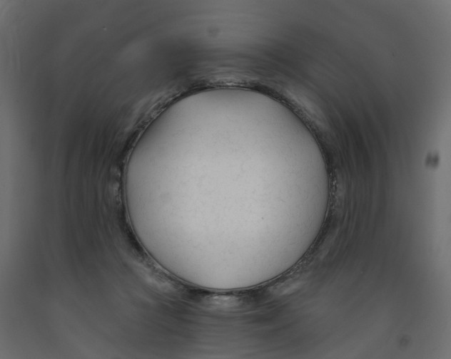 X0000091990361200710041134