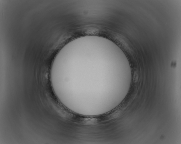 X0000091990363200710041134