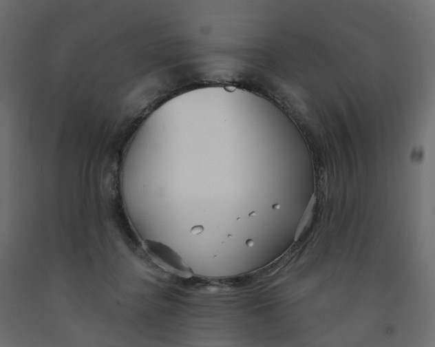X0000091990364200710041134