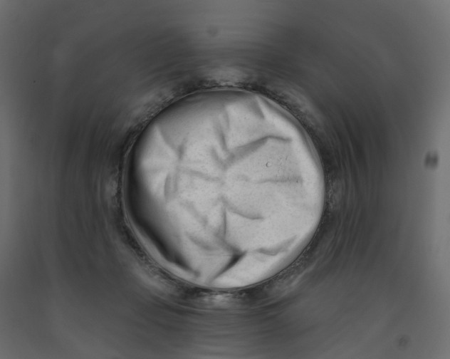 X0000091990365200710041134