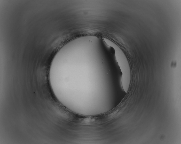 X0000091990366200710041134