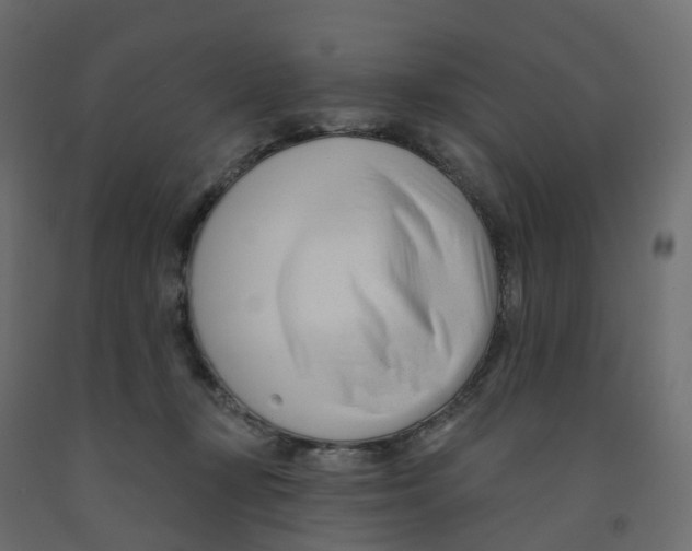 X0000091990367200710041134
