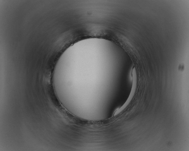 X0000091990368200710041134