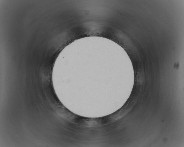 X0000091990370200710041134