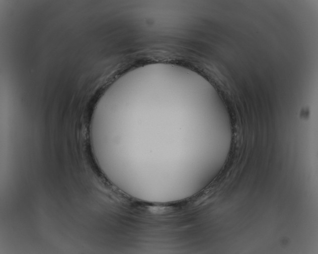 X0000091990371200710041134