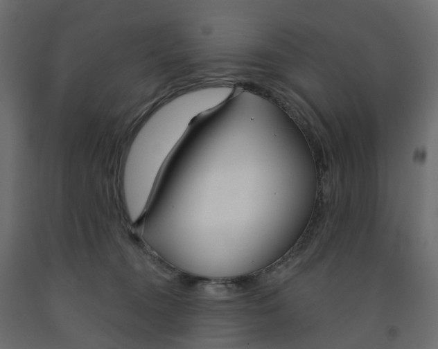X0000091990372200710041134