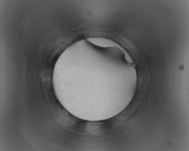 X0000091990373200710041134