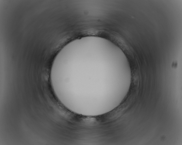X0000091990374200710041134