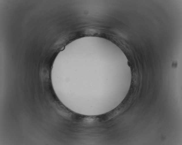 X0000091990375200710041134
