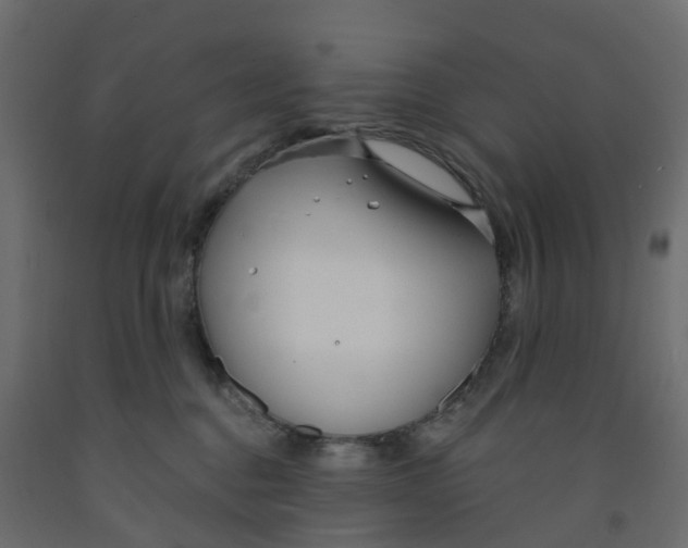 X0000091990376200710041135