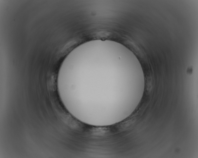 X0000091990378200710041135