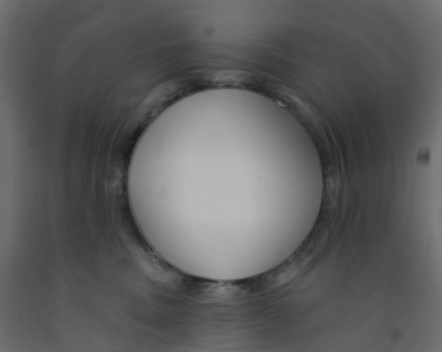 X0000091990379200710041135