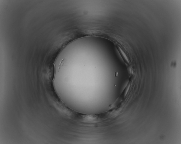 X0000091990380200710041135