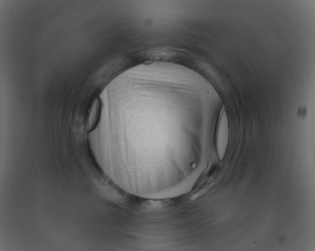 X0000091990381200710041135
