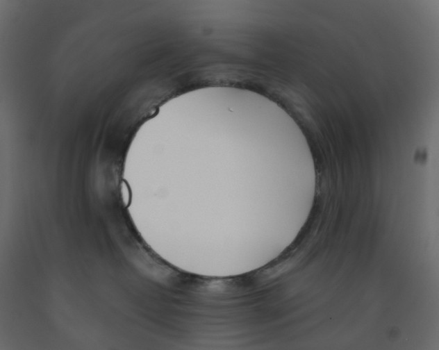 X0000091990382200710041135