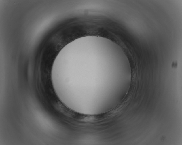 X0000091990383200710041135