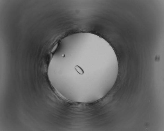 X0000091990384200710041135