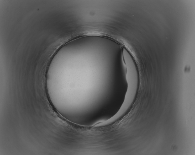 X0000091990385200710041134