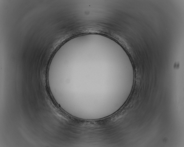 X0000091990386200710041134