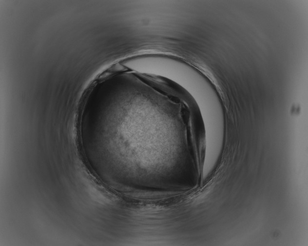 X0000091990387200710041134