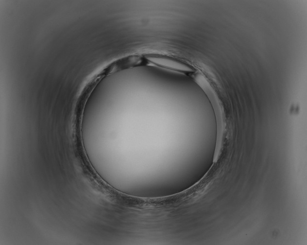 X0000091990388200710041134