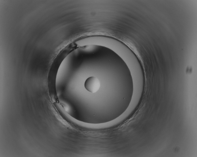X0000091990389200710041134