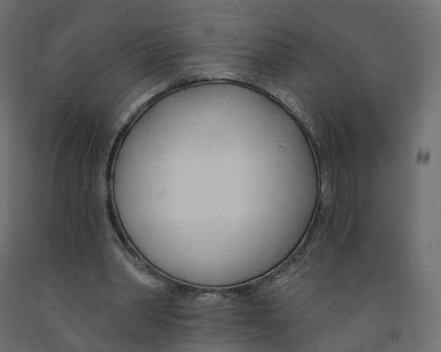 X0000091990390200710041134